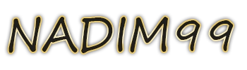 NADIM99 logo